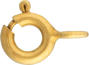 Spring Ring