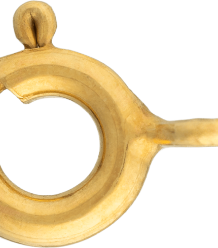 clasp_001